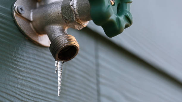 Best Plumbing Services Near Me  in Marshalltown, IA